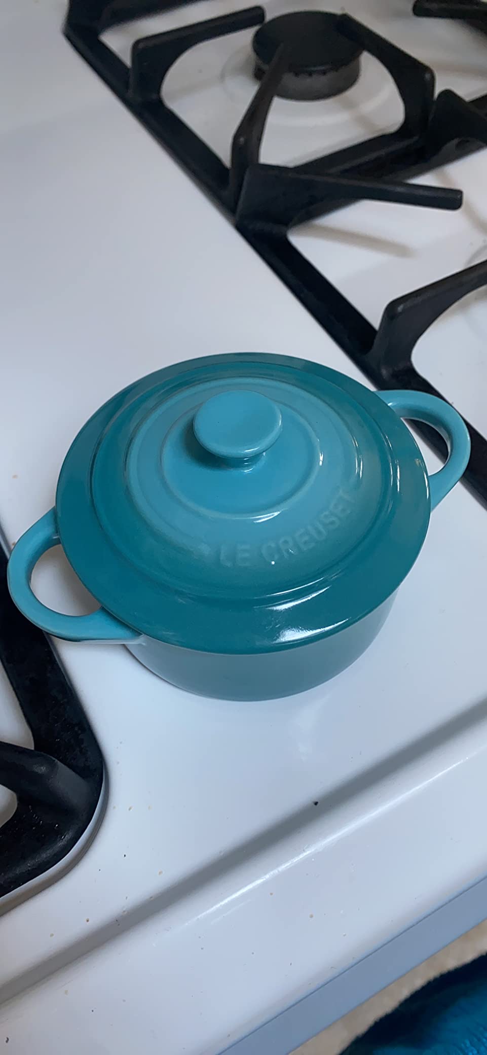Lovely little cocotte