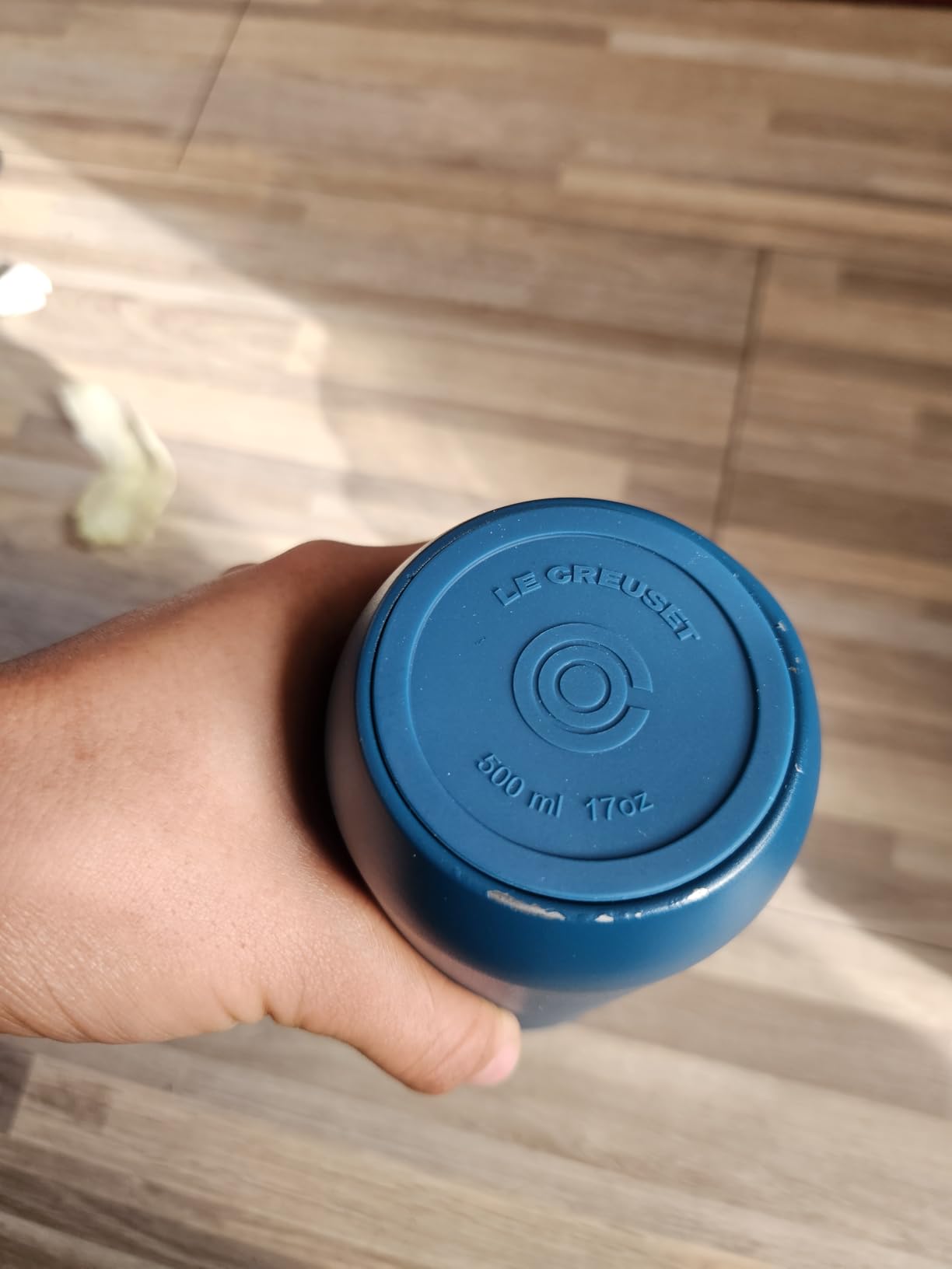 Paint chips