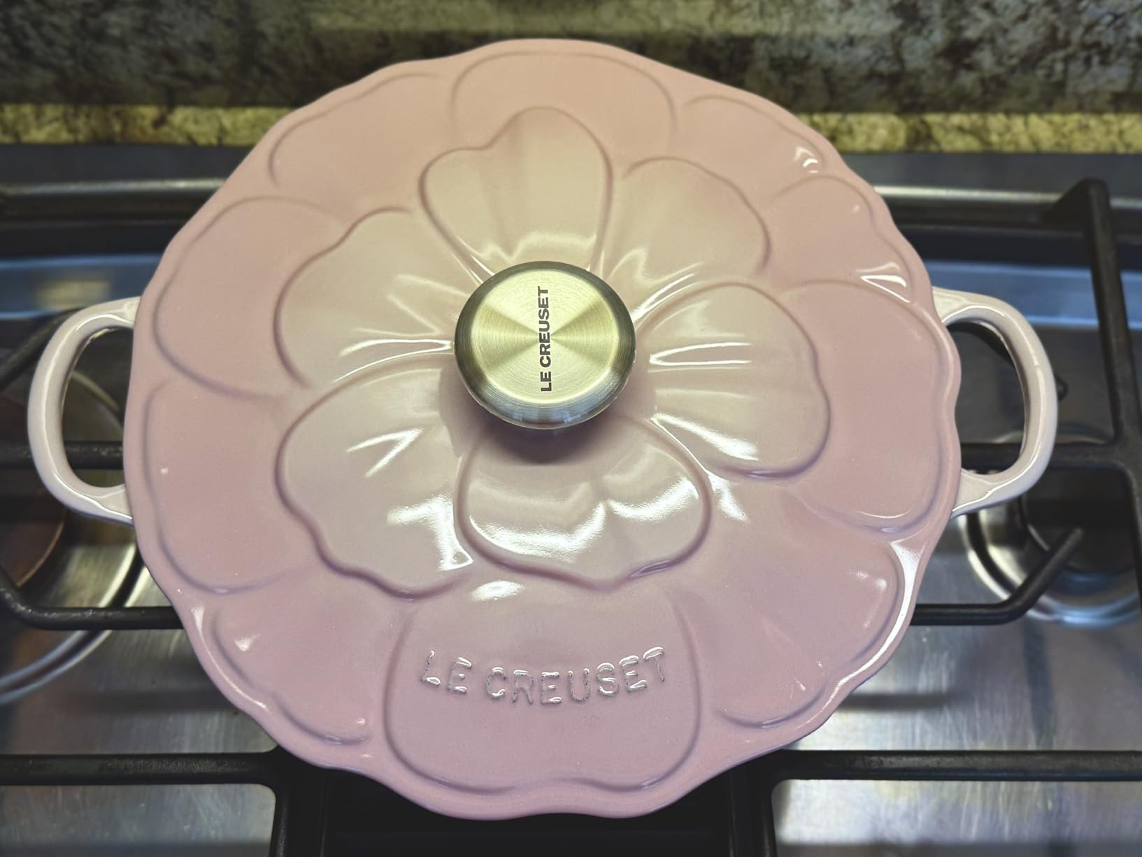 Gorgeous braiser