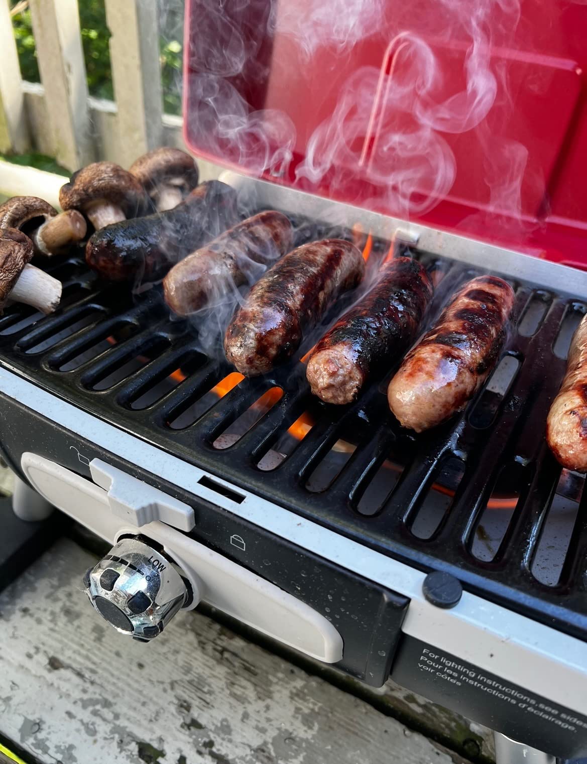 Solid little grill