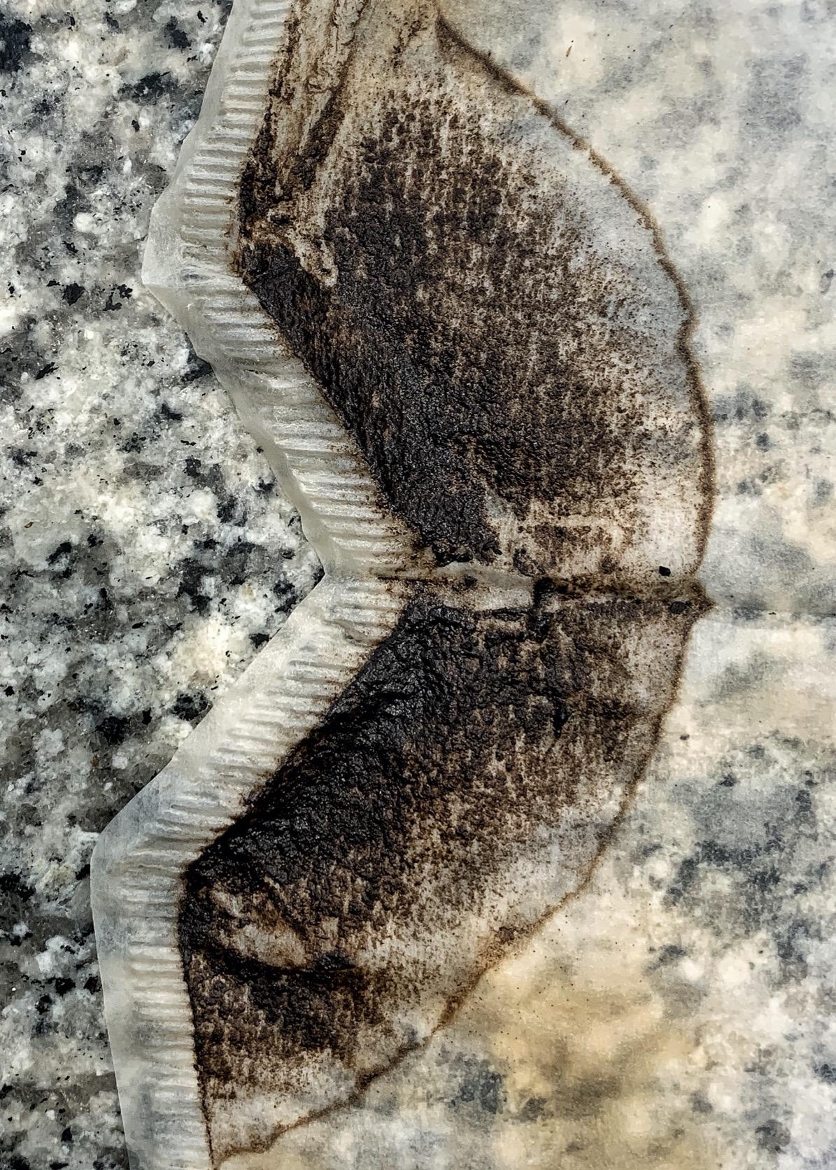 No more paper filters